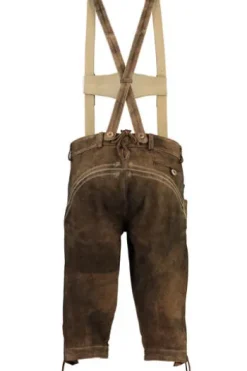 MADDOX Leder-Kniebundhose Hochberg bisam Ziegenveloursleder